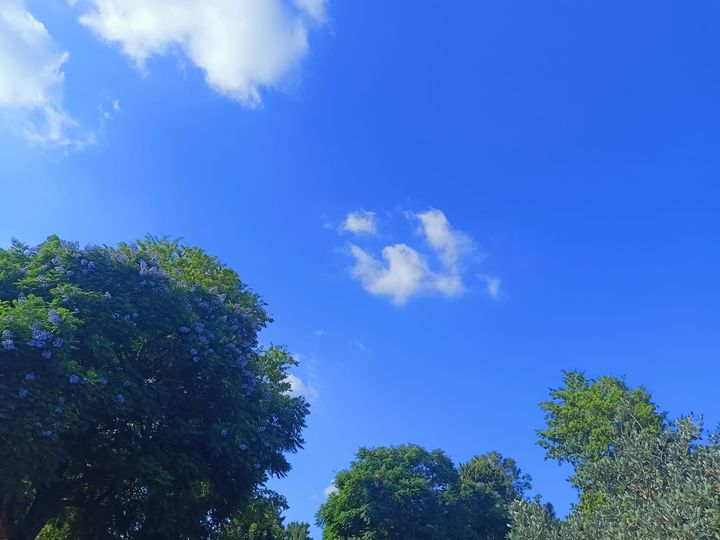 רגש מה עושים איתו?